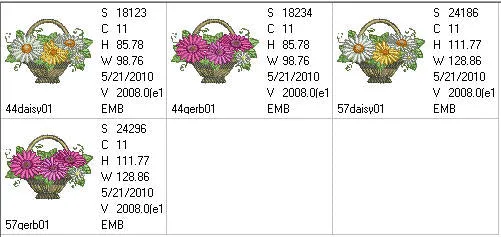 Gerbera Extra 01