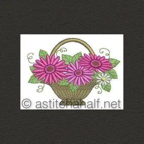 Gerbera Extra 01