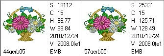 Gerbera Extra 05