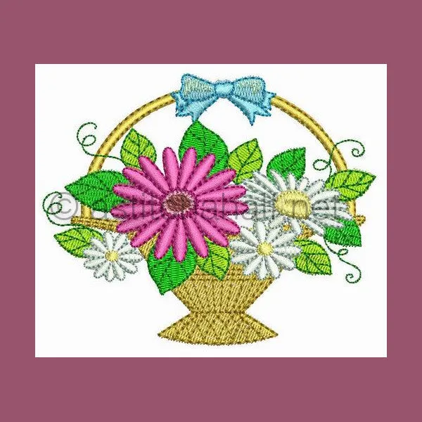 Gerbera Extra 05