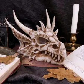 Lumo the Dragon 25cm Luminescent Skull