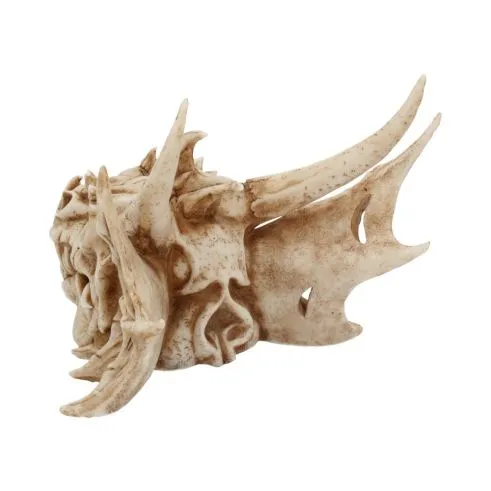 Lumo the Dragon 25cm Luminescent Skull