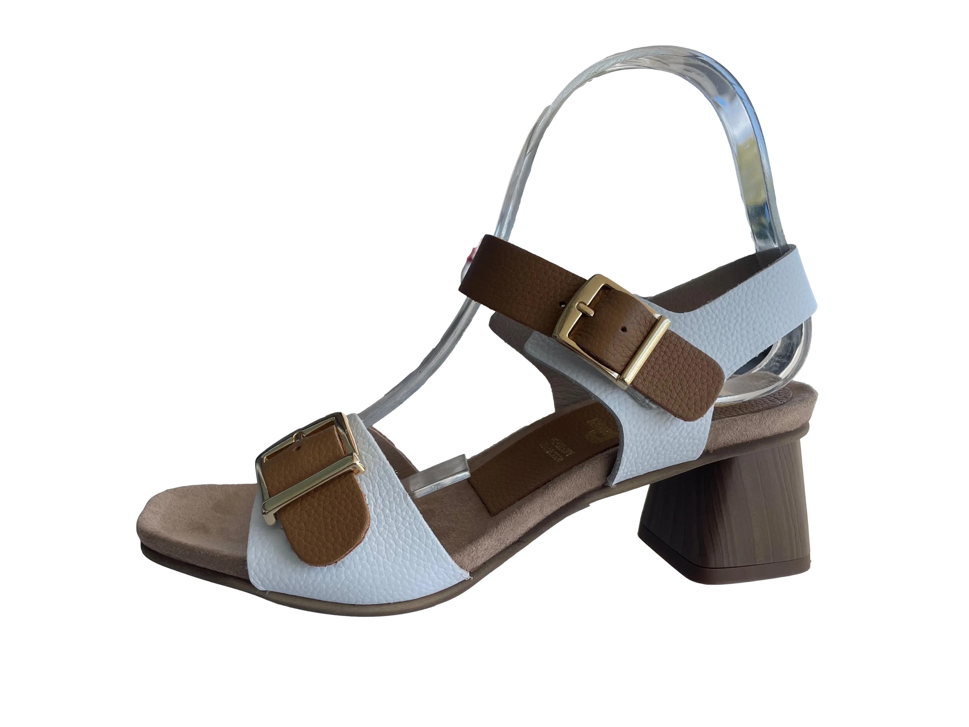 PENELOPE 6236 PETI